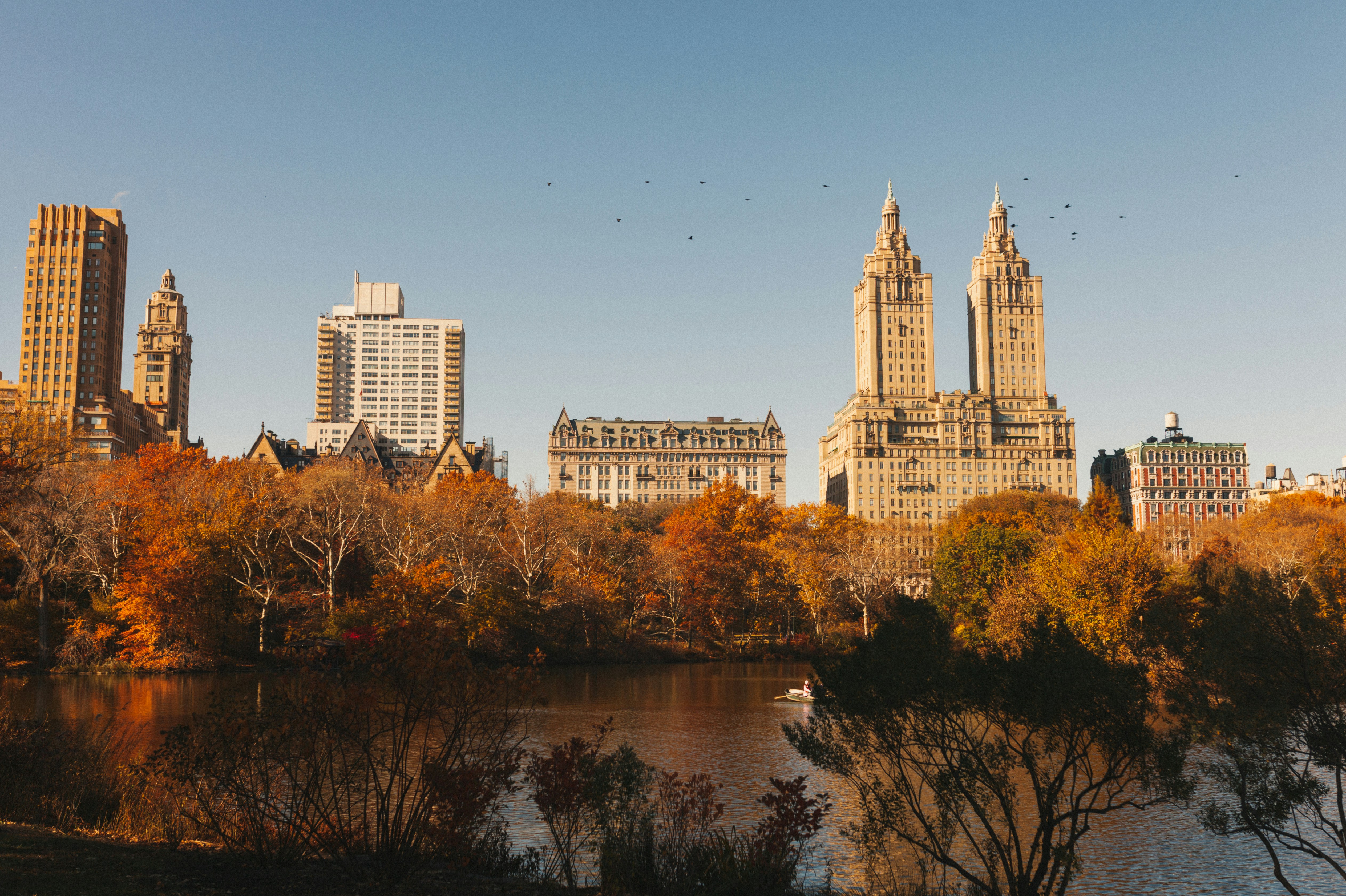 Central Park Autumn