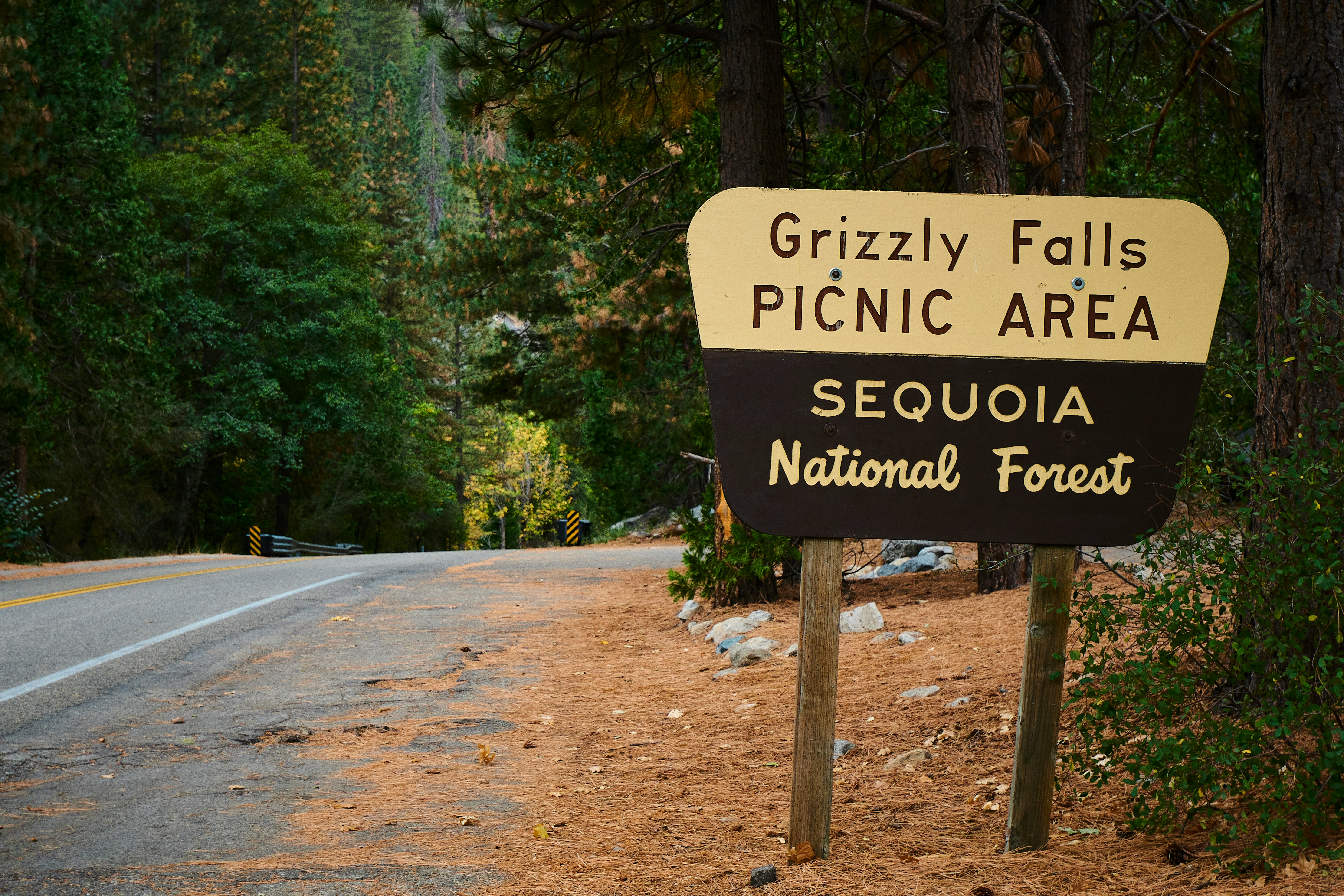Sequoia National Park